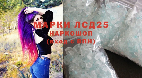 индика Володарск