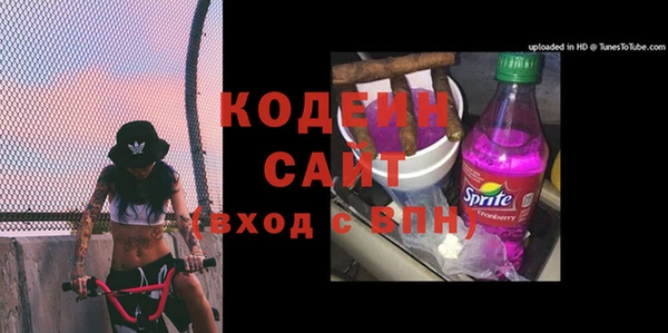 индика Володарск