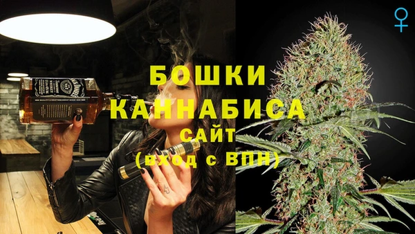 индика Володарск