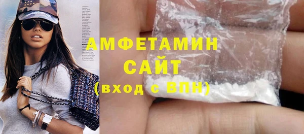 индика Володарск