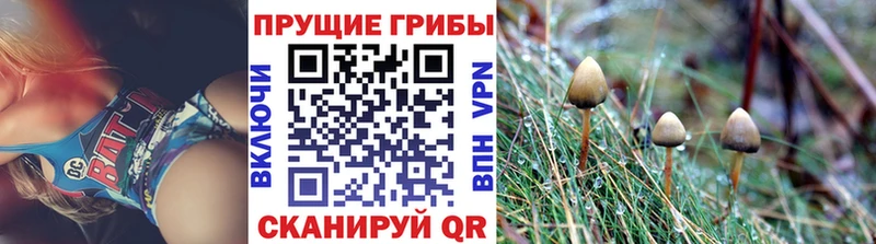 Псилоцибиновые грибы MAGIC MUSHROOMS  Купить где  Давлеканово 